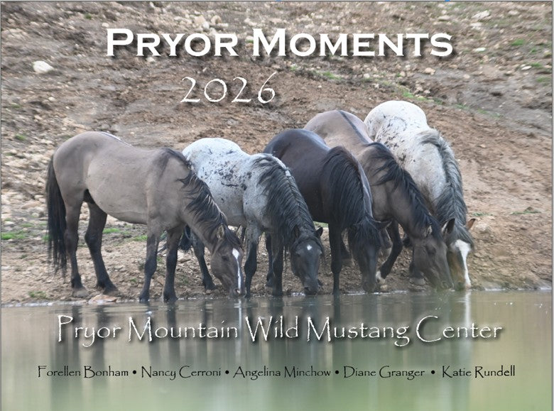 2026 Pryor Mountain Wild Mustang Center Calendar