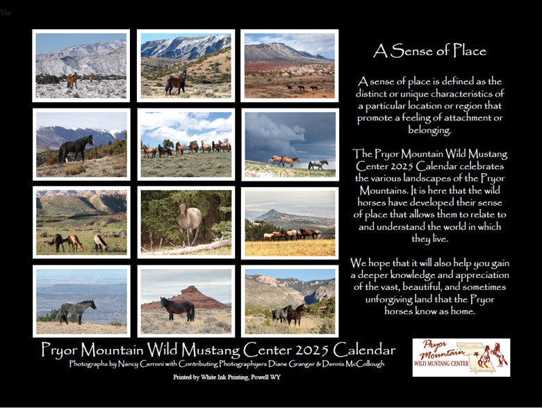 2026 Pryor Mountain Wild Mustang Center Calendar