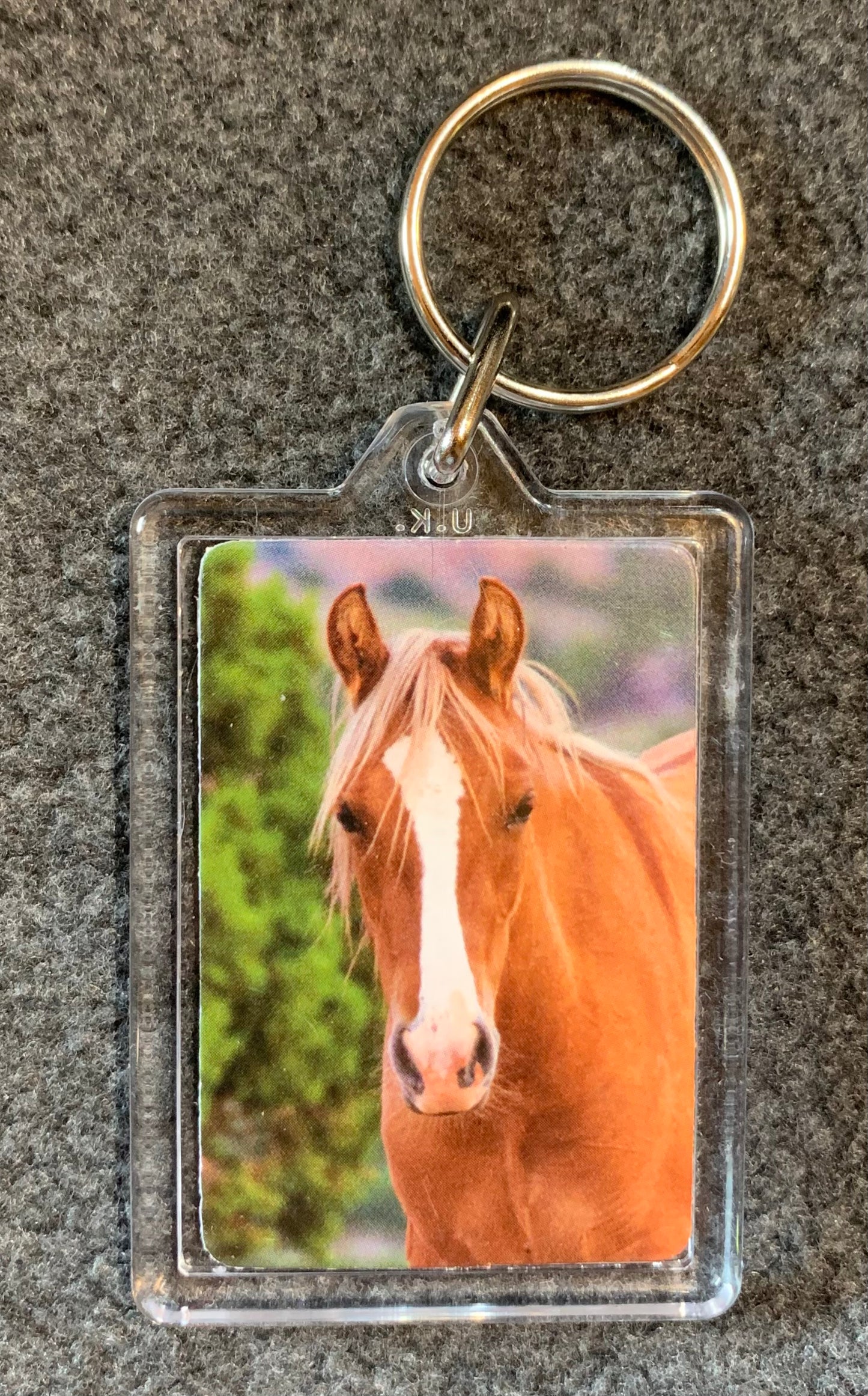 Pryor Mustang Key Chains