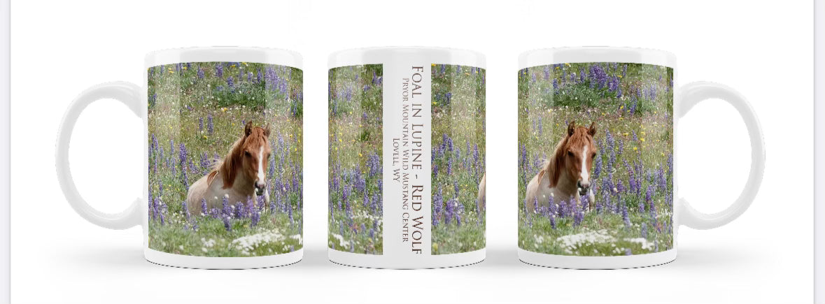 Pryor Mustangs Mugs