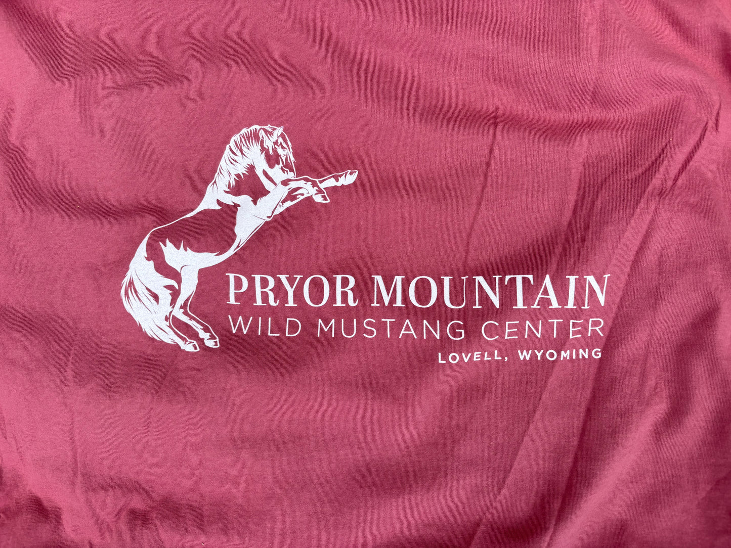 Cloud - Rearing Stallion T-Shirt