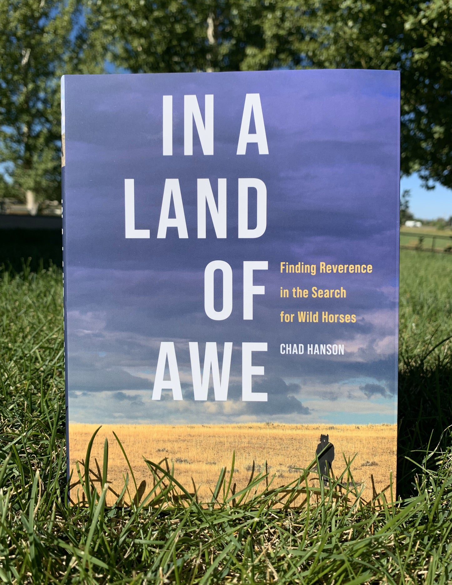IN A LAND OF AWE: Finding Reverence in the Search for Wild Horses