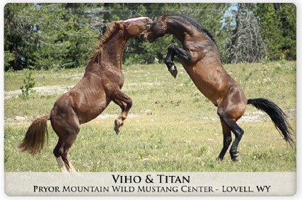 Pryor Mustangs Magnets