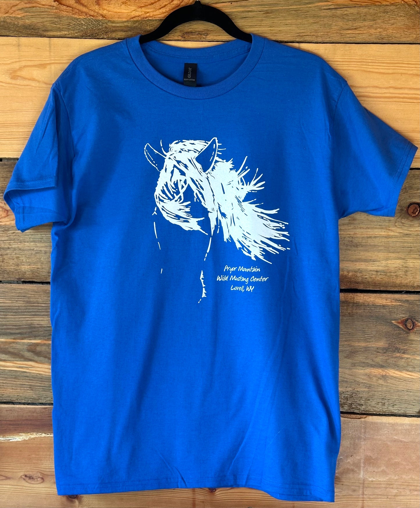 Cloud's Pride T-Shirt