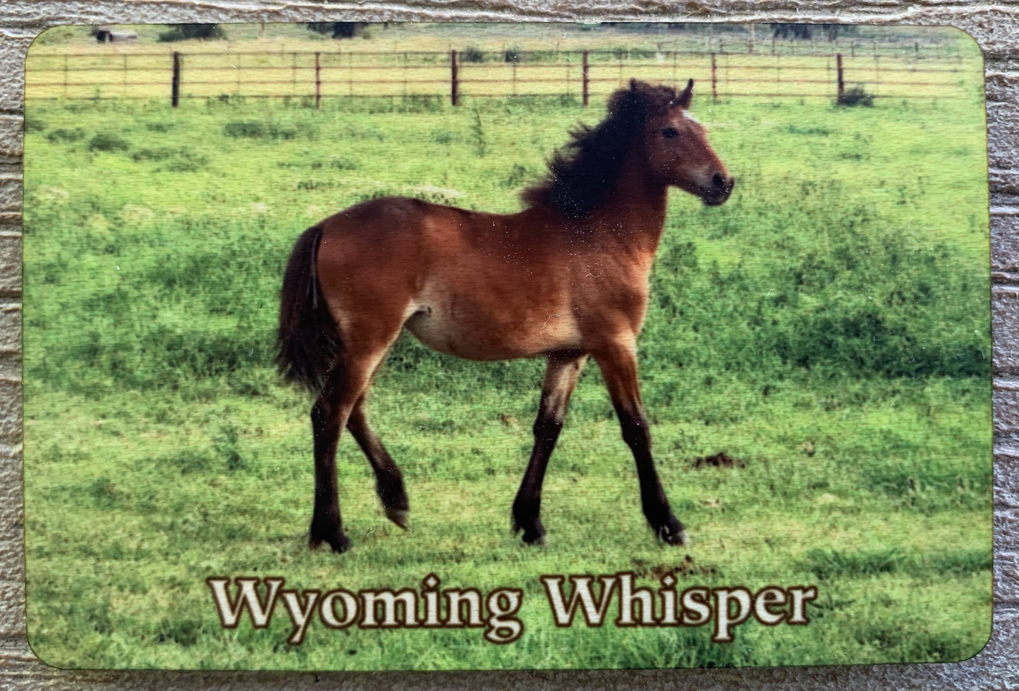 Whisper Magnets—Wooden or Metal