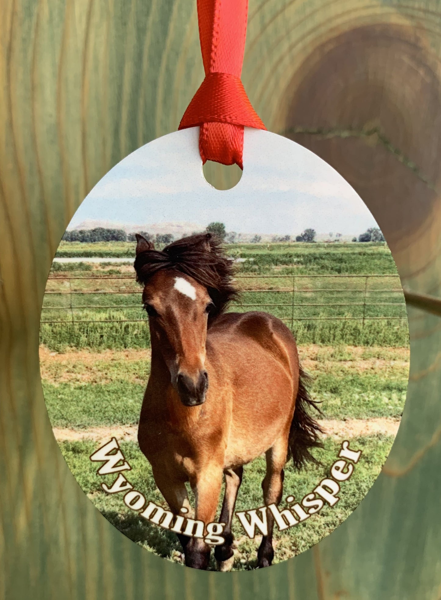 Whisper Ornament