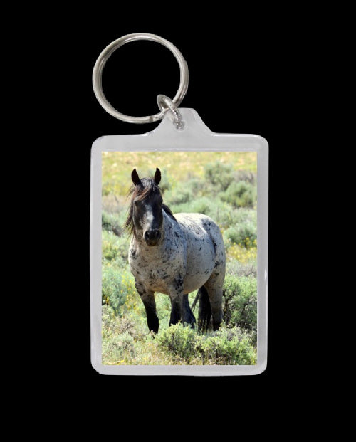 Pryor Mustang Key Chains
