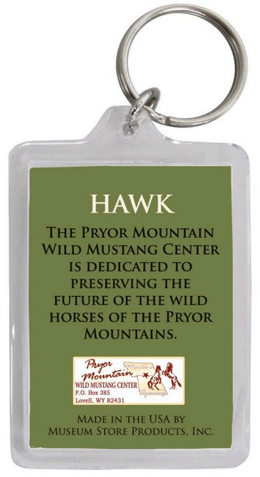 Pryor Mustang Key Chains