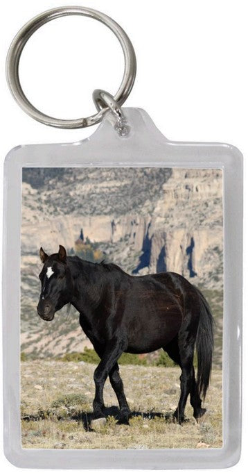 Pryor Mustang Key Chains