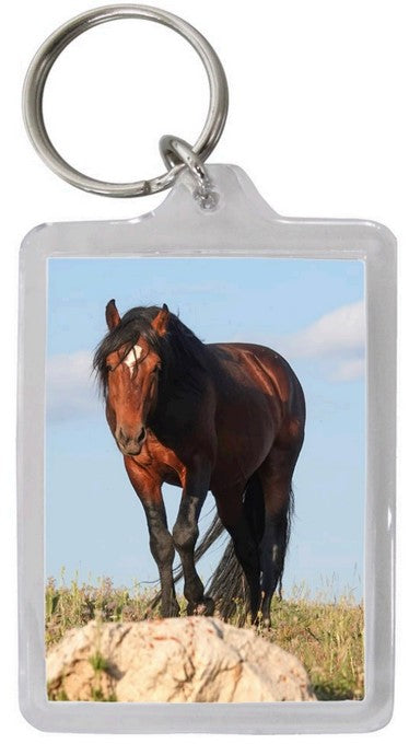 Pryor Mustang Key Chains