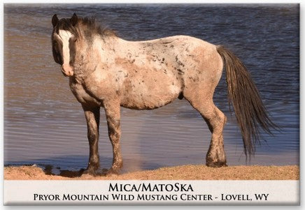 Pryor Mustangs Magnets