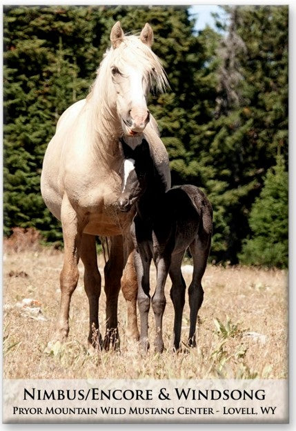Pryor Mustangs Magnets