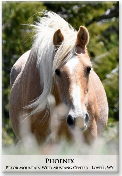 Pryor Mustangs Magnets