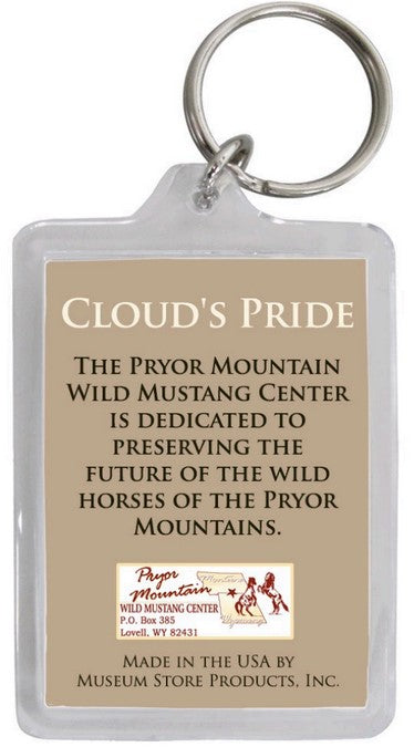 Pryor Mustang Key Chains