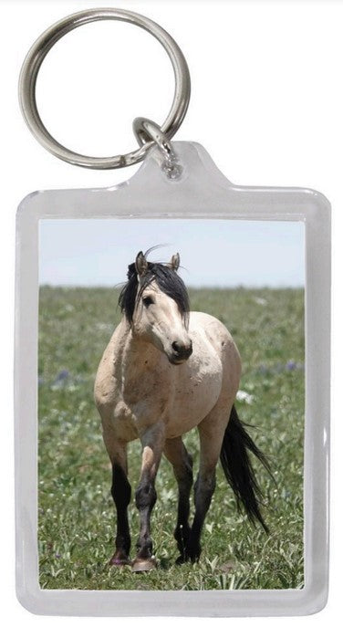 Pryor Mustang Key Chains