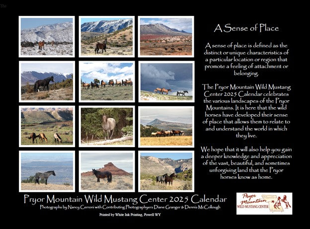 2025 Pryor Mountain Wild Mustang Center Calendar