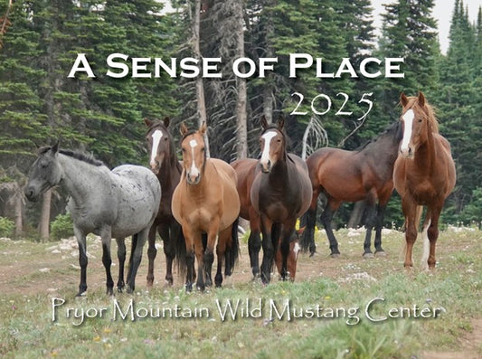 2025 Pryor Mountain Wild Mustang Center Calendar