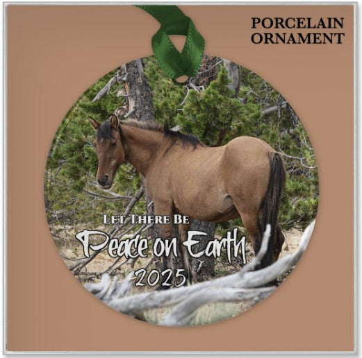 Pryor Legends Collection: 2025 Rosarita