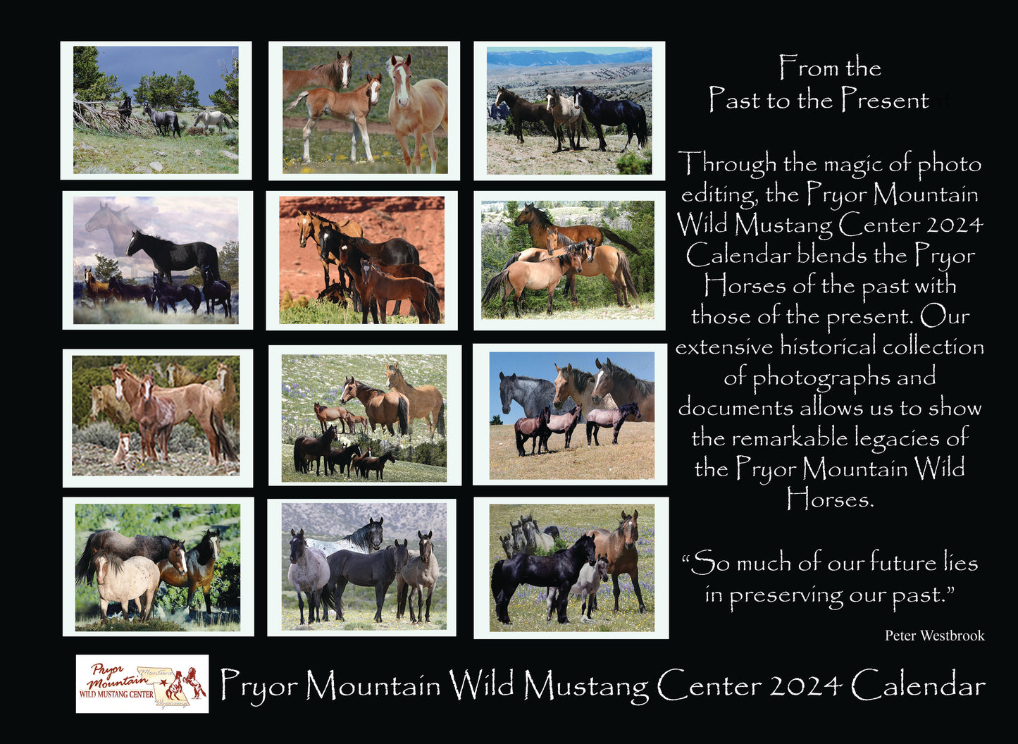 2024 Pryor Mountain Wild Mustang Center Calendar