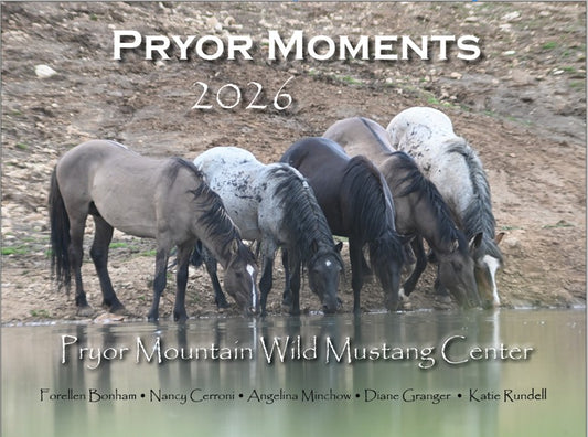 2026 Pryor Mountain Wild Mustang Center Calendar