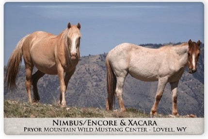 Pryor Mustangs Magnets