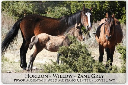 Pryor Mustangs Magnets