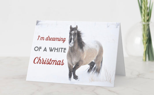 Pryor Mountain Wild Mustang Center Christmas Cards