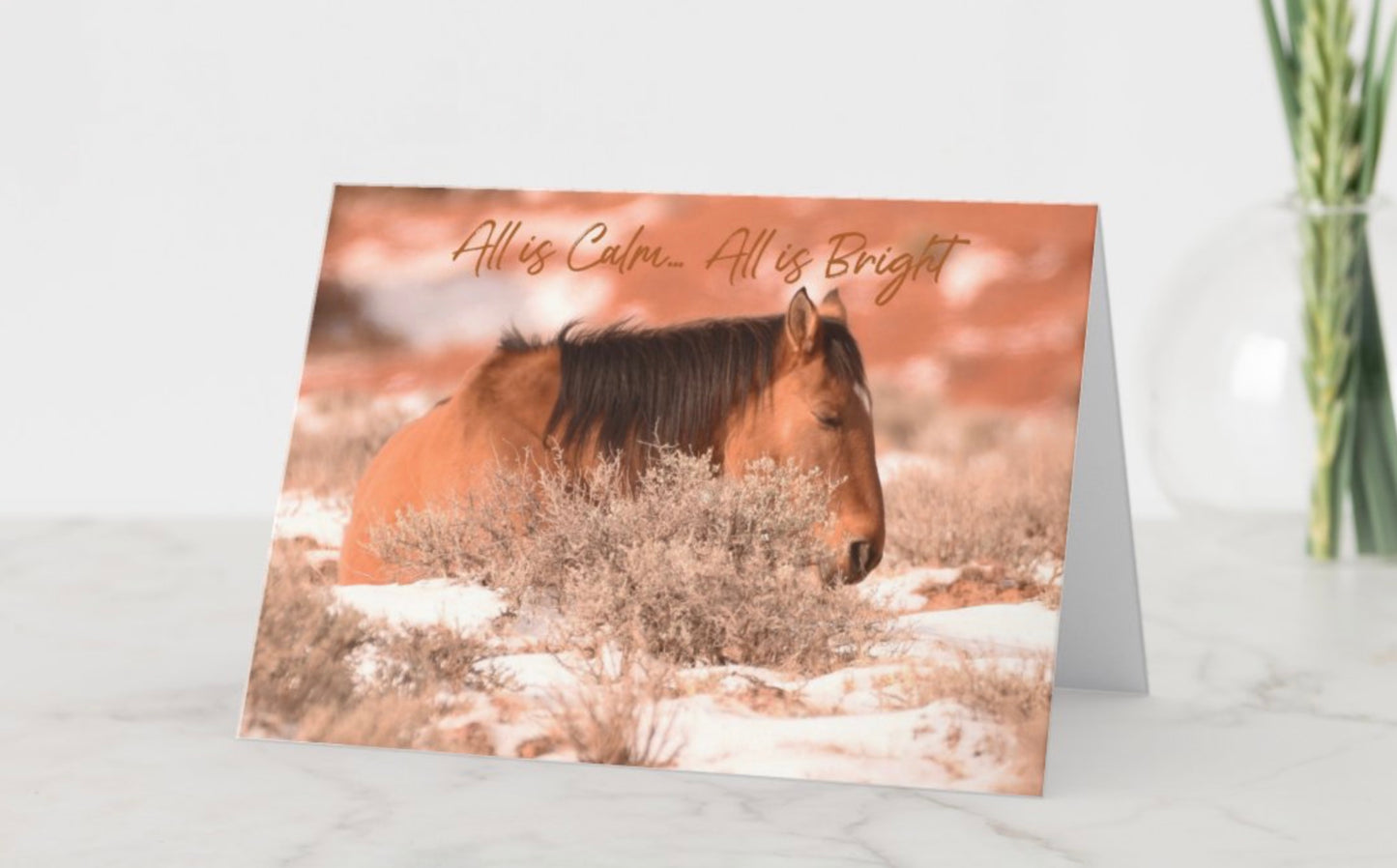 Pryor Mountain Wild Mustang Center Christmas Cards