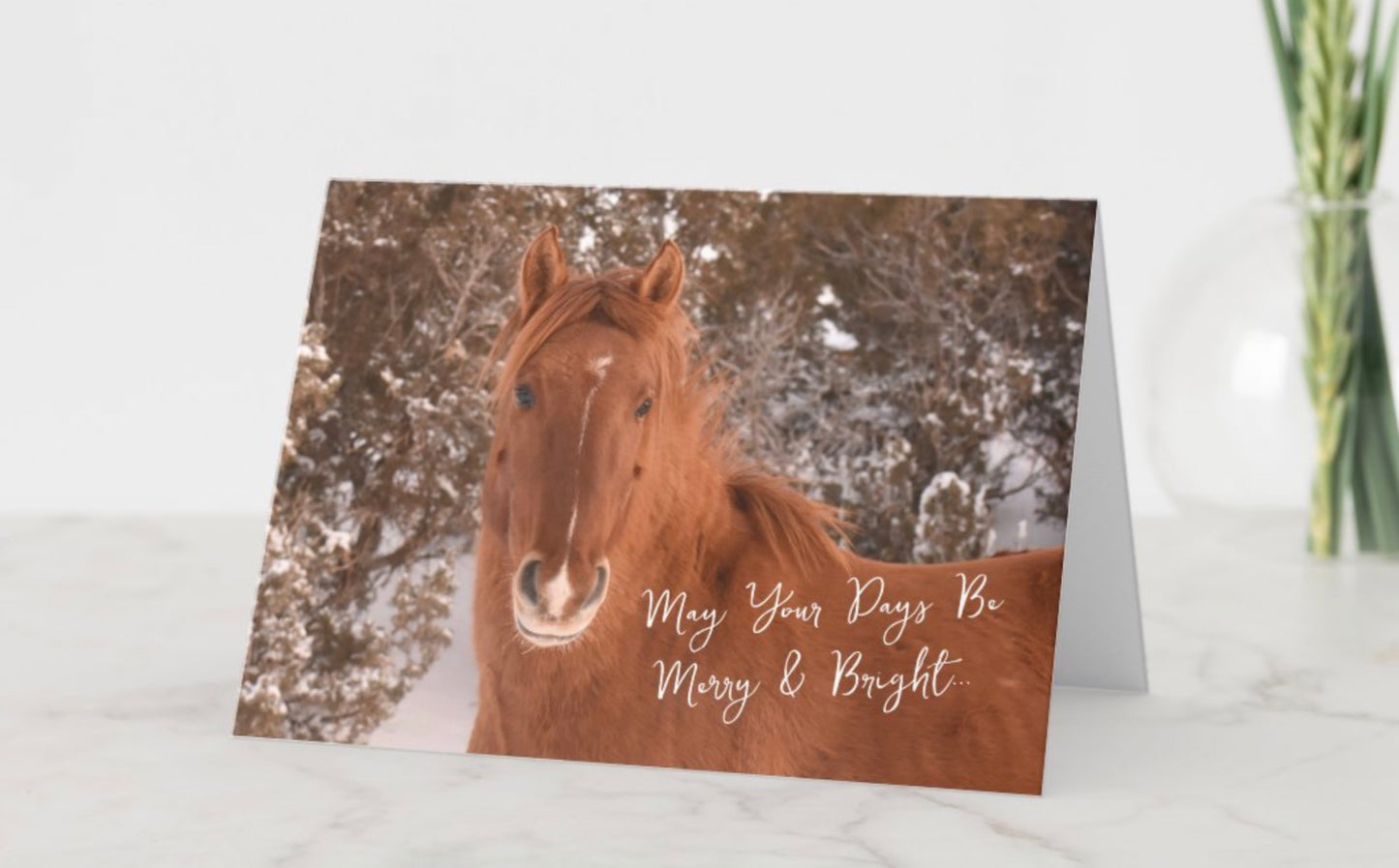 Pryor Mountain Wild Mustang Center Christmas Cards