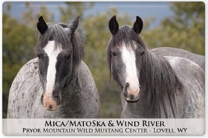 Pryor Mustangs Magnets