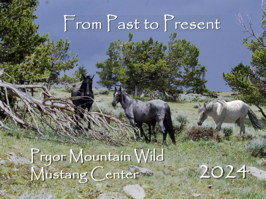 2024 Pryor Mountain Wild Mustang Center Calendar
