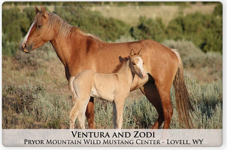 Pryor Mustangs Magnets